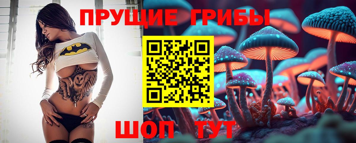 Галлюциногенные грибы прущие грибы  Псилоцибиновые грибы мицелий  Вход с VPN  Дзержинск 
